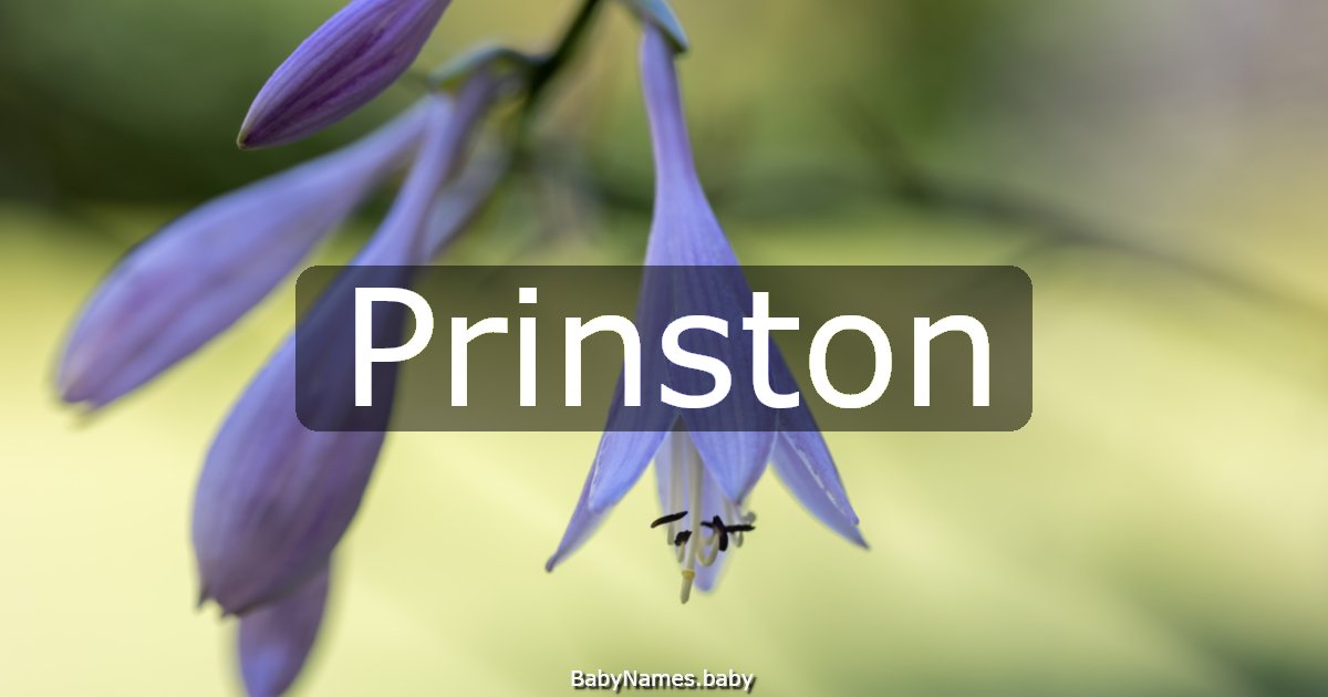 Prinston