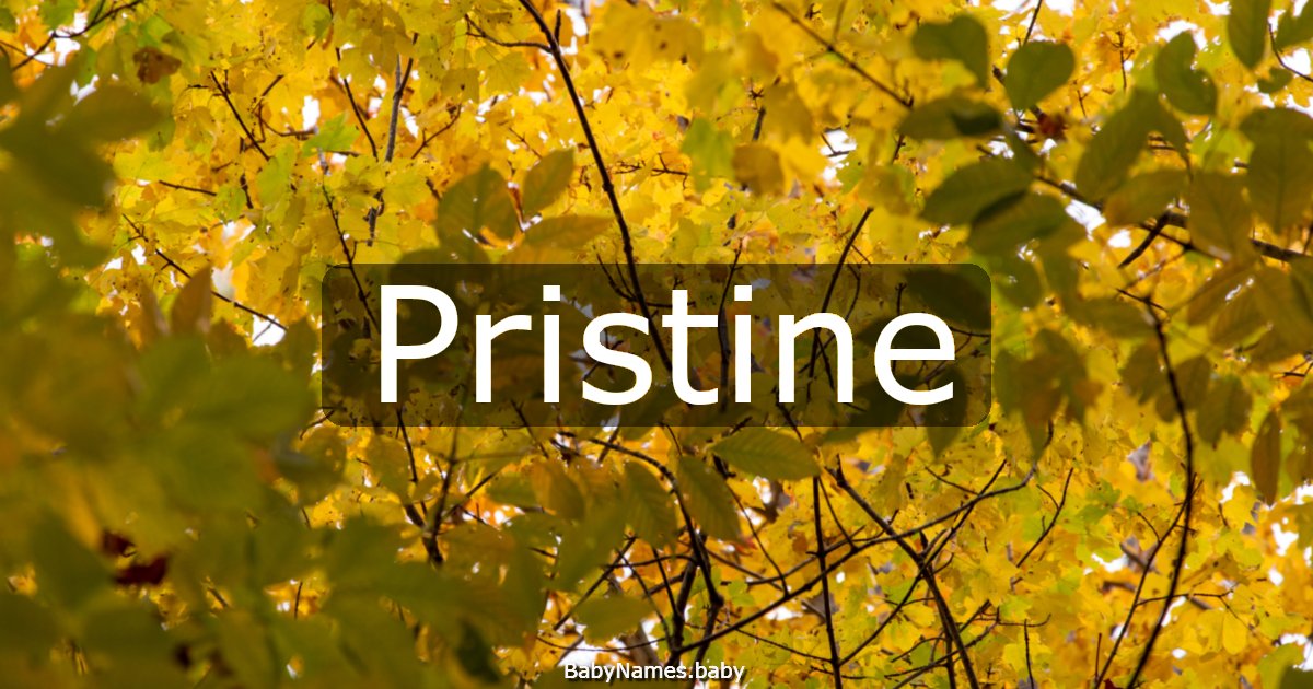 Pristine