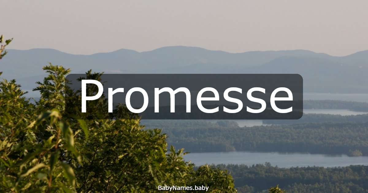 Promesse