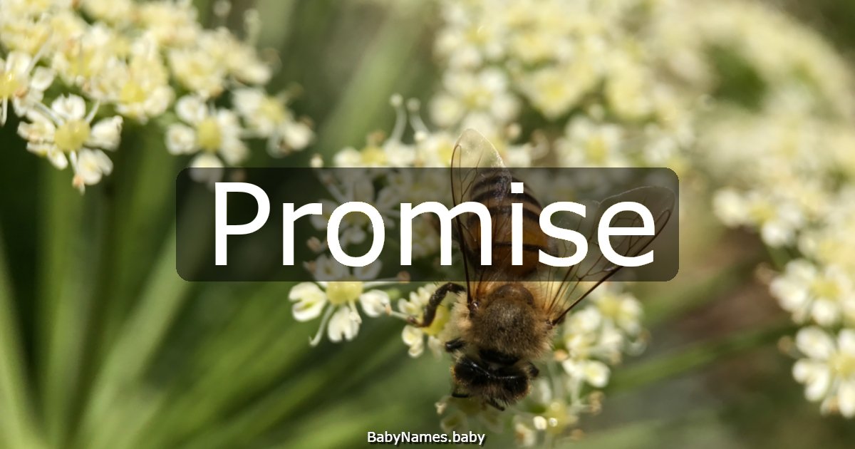 Promise