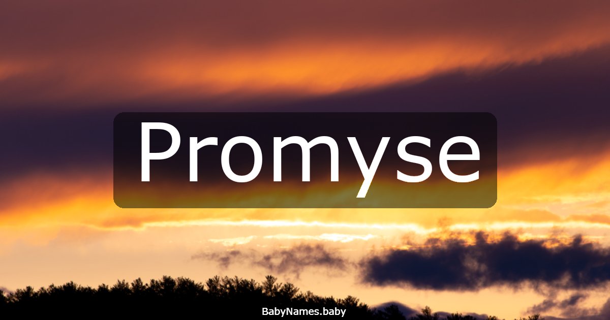 Promyse