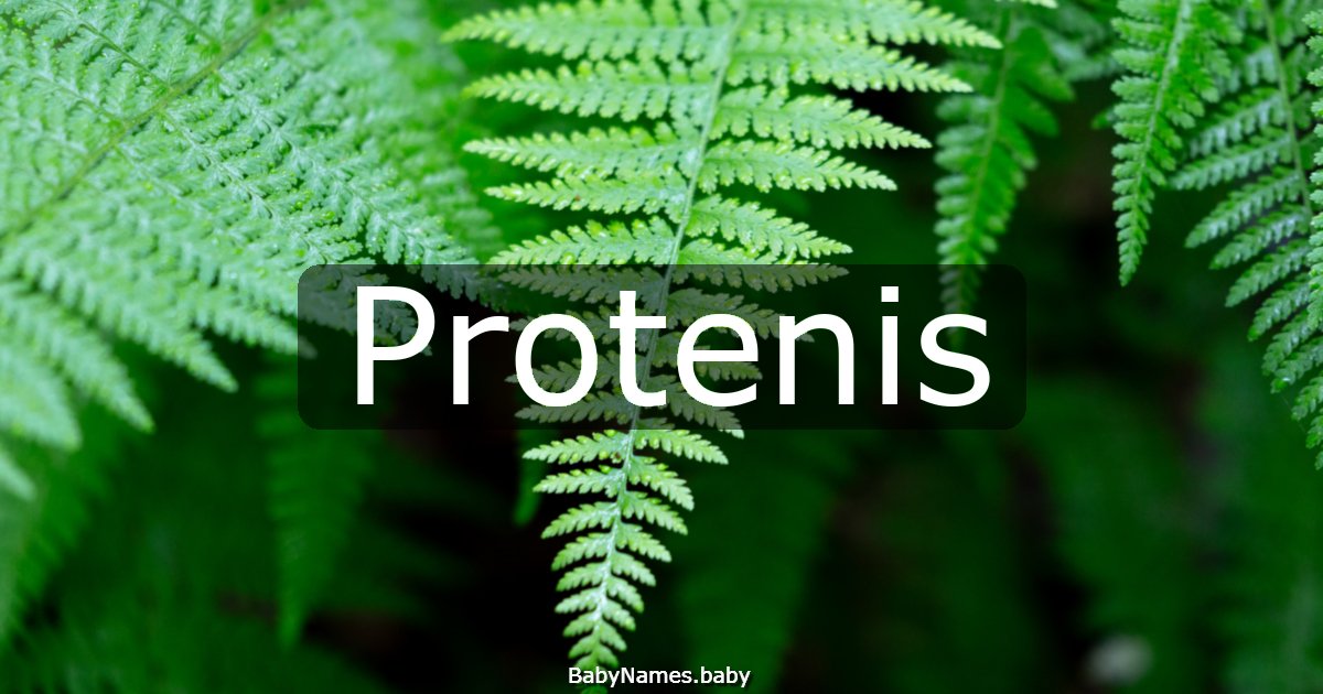 Protenis