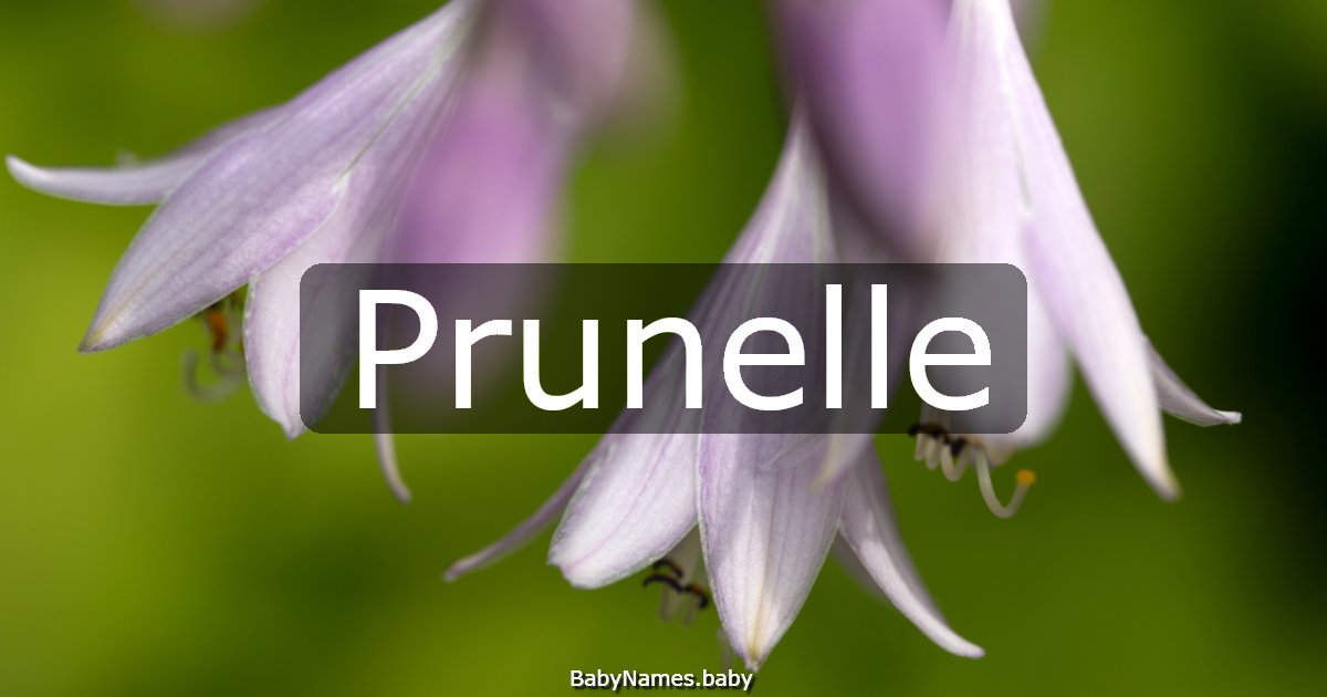 Prunelle
