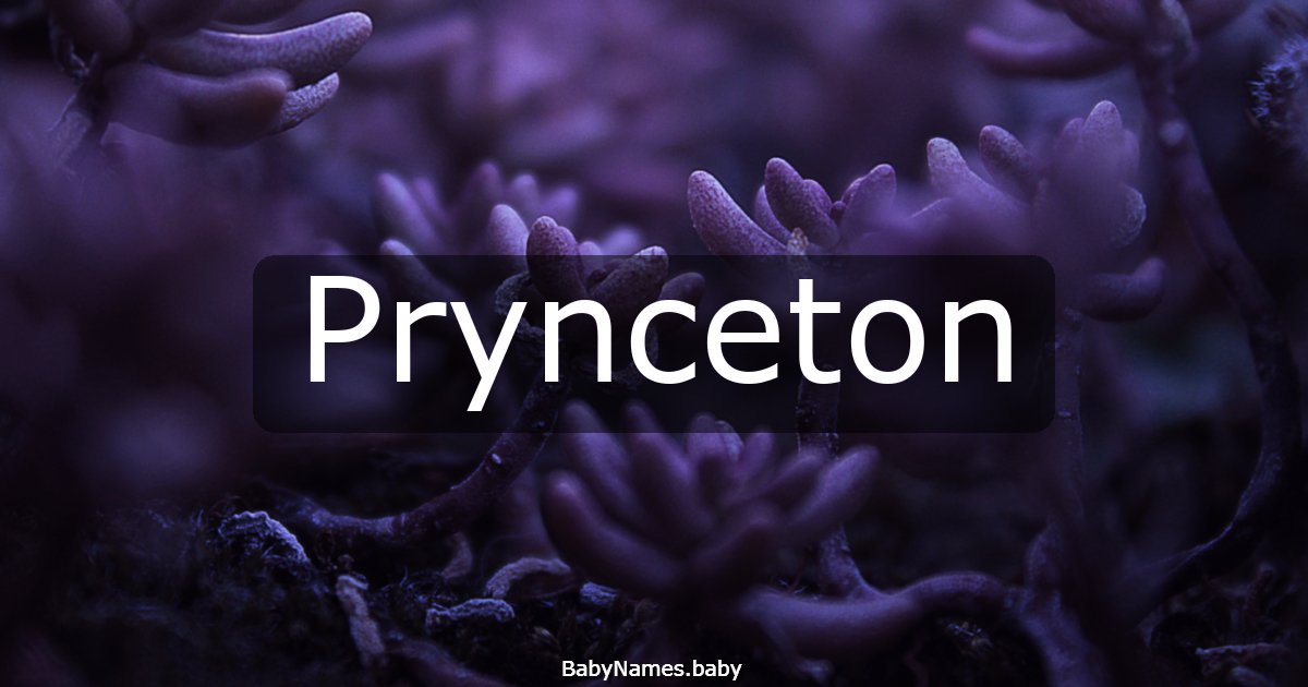 Prynceton