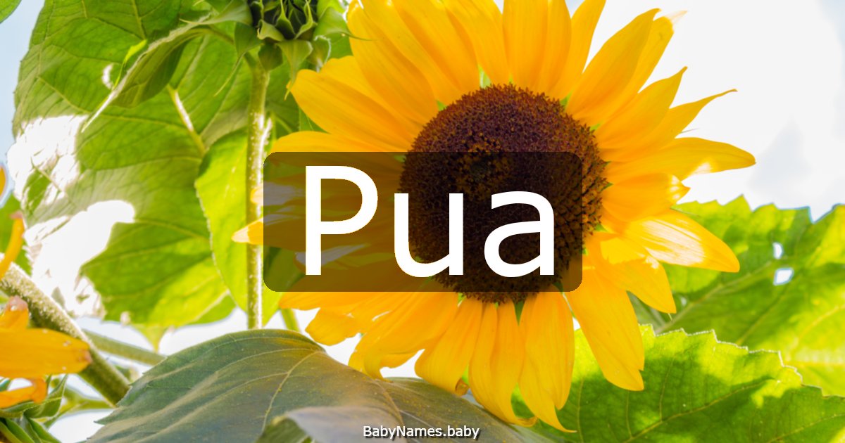Pua