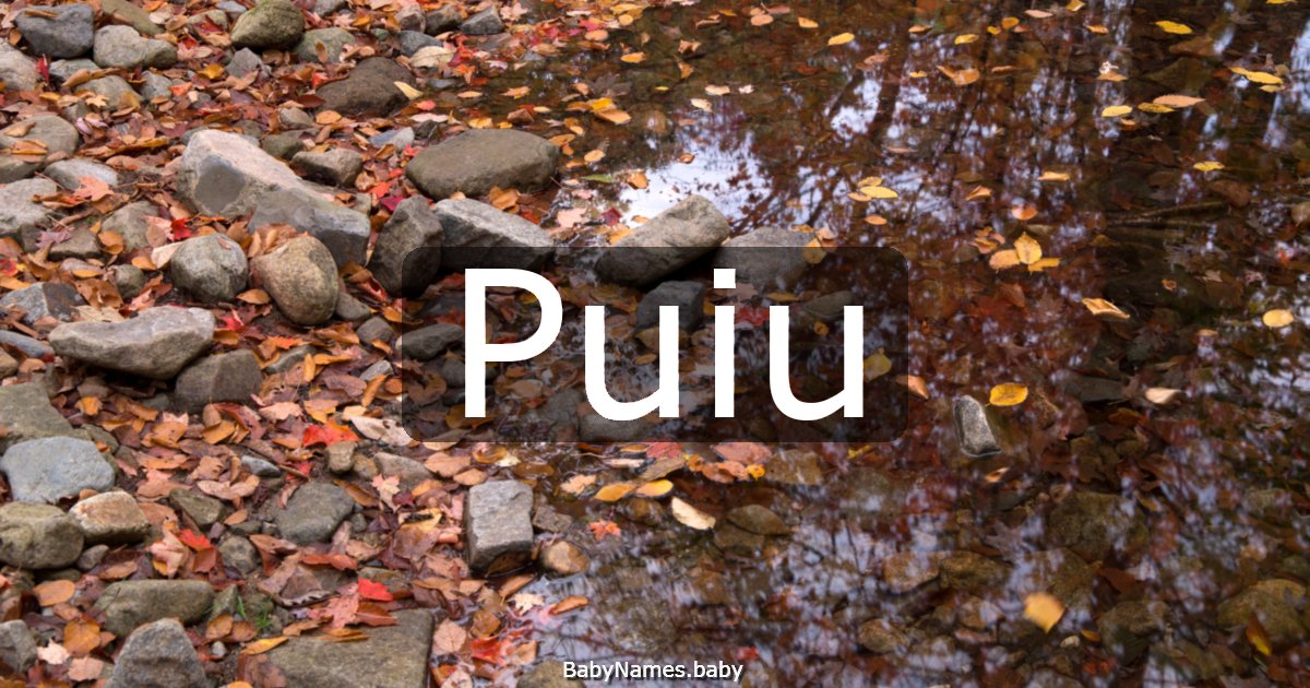 Puiu