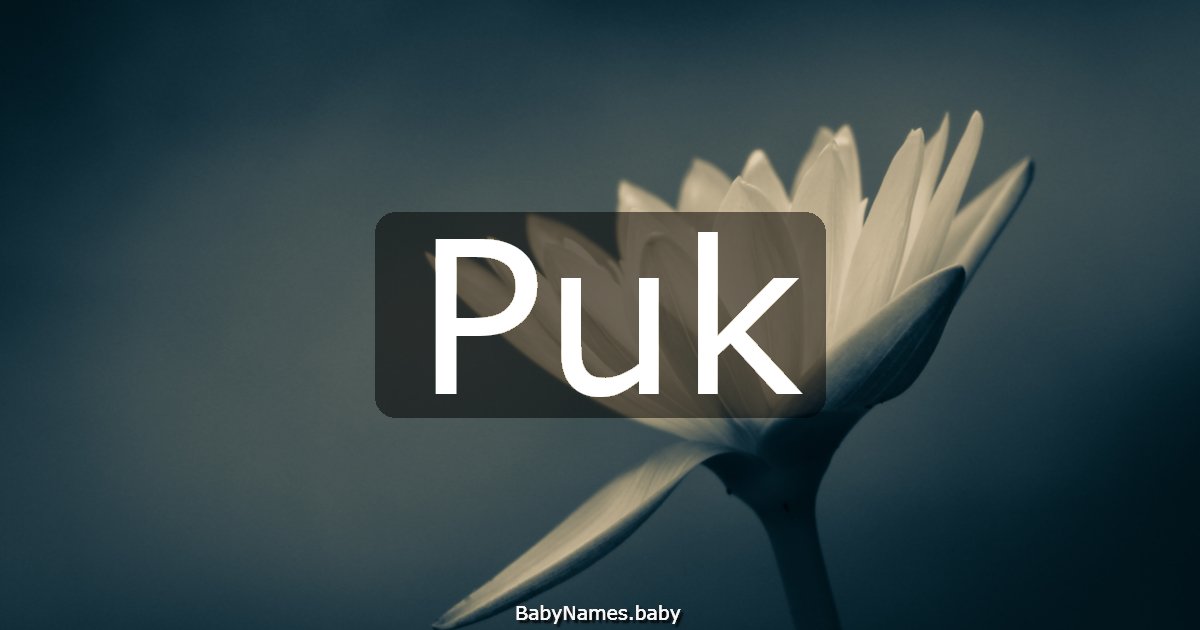 Puk