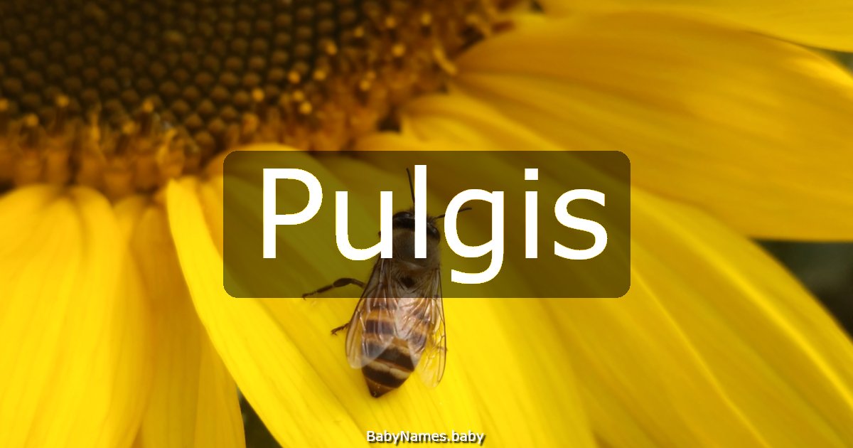 Pulgis