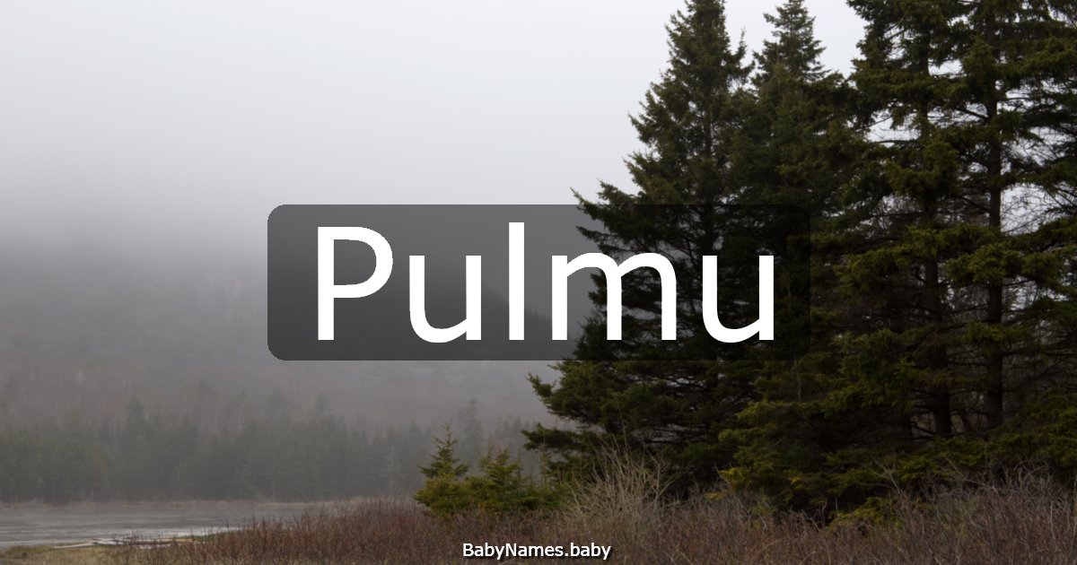 Pulmu
