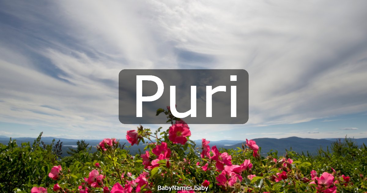 Puri