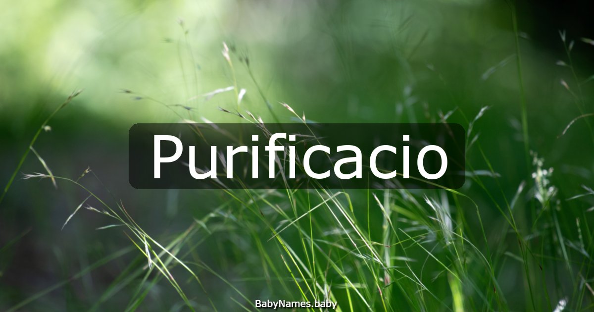 Purificacio