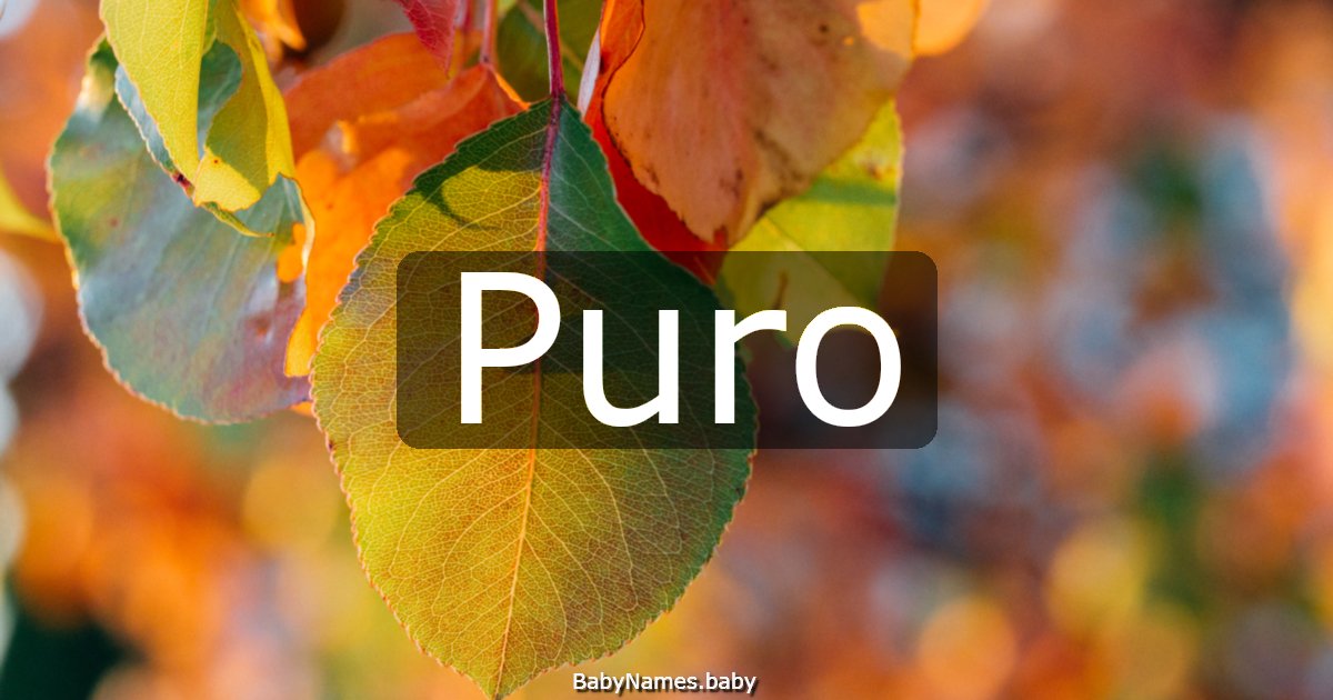 Puro