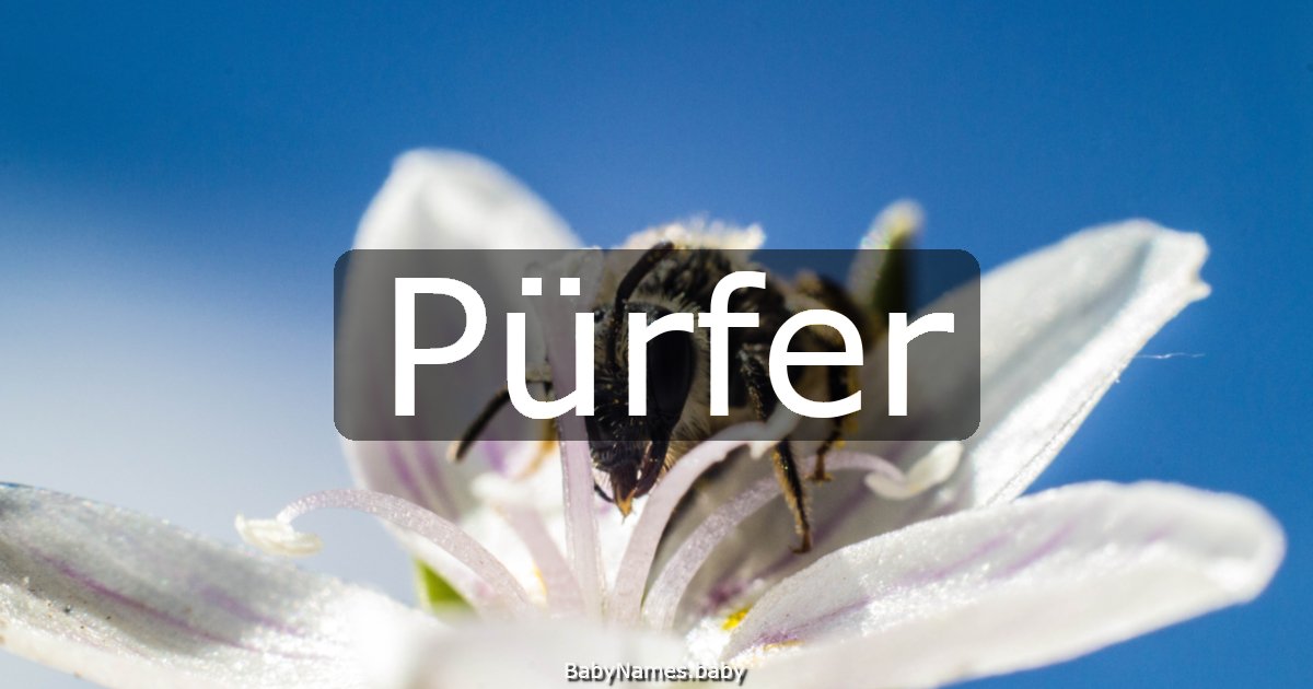 Pürfer