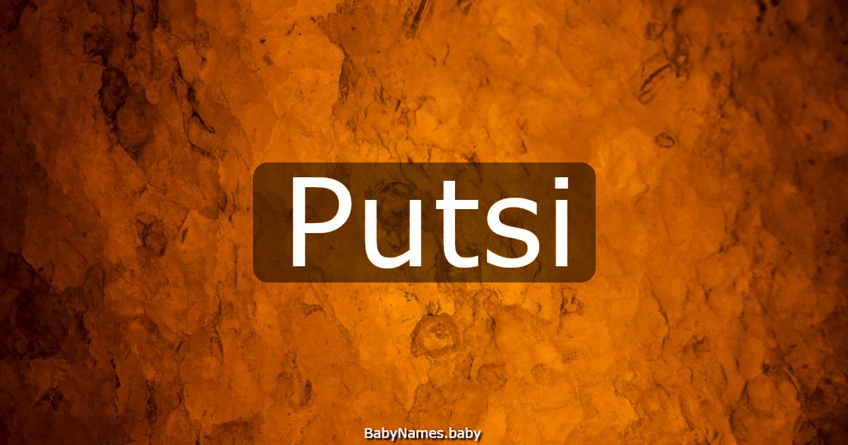 Putsi