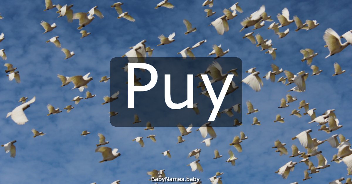 Puy