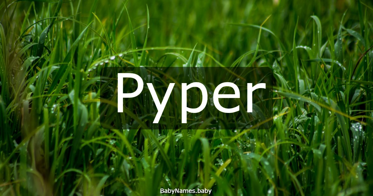 Pyper