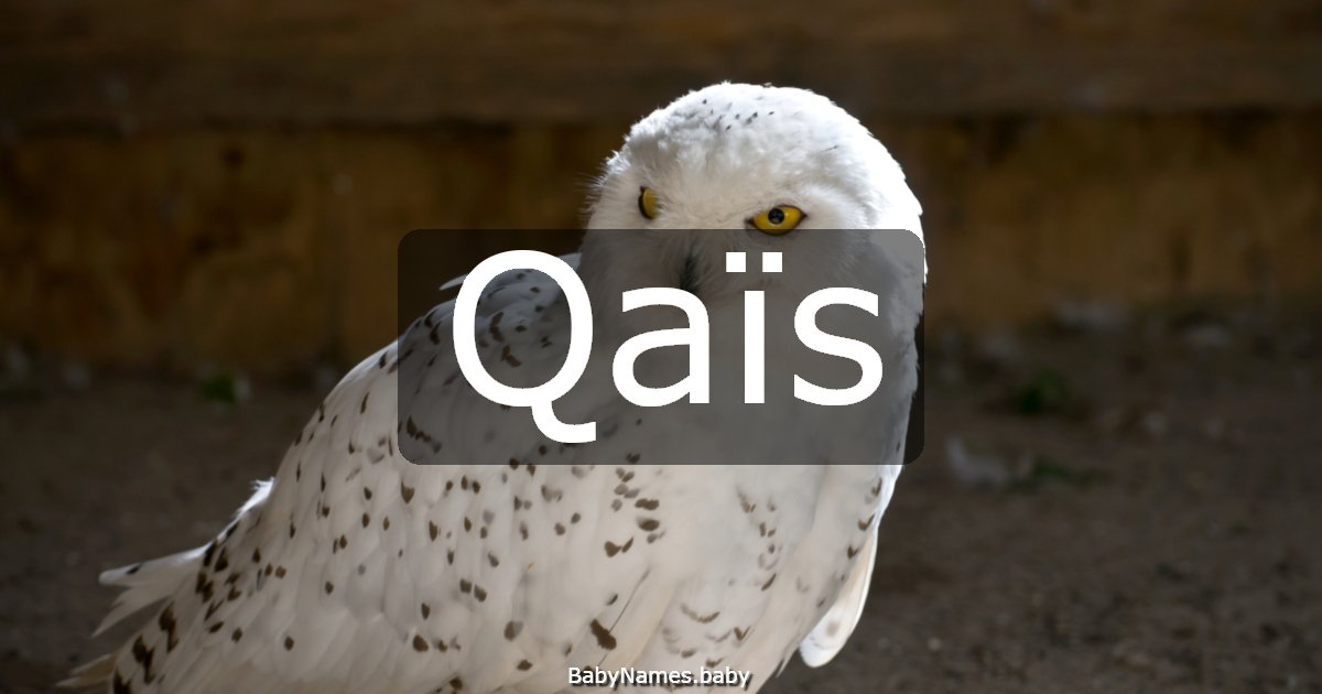 Qaïs