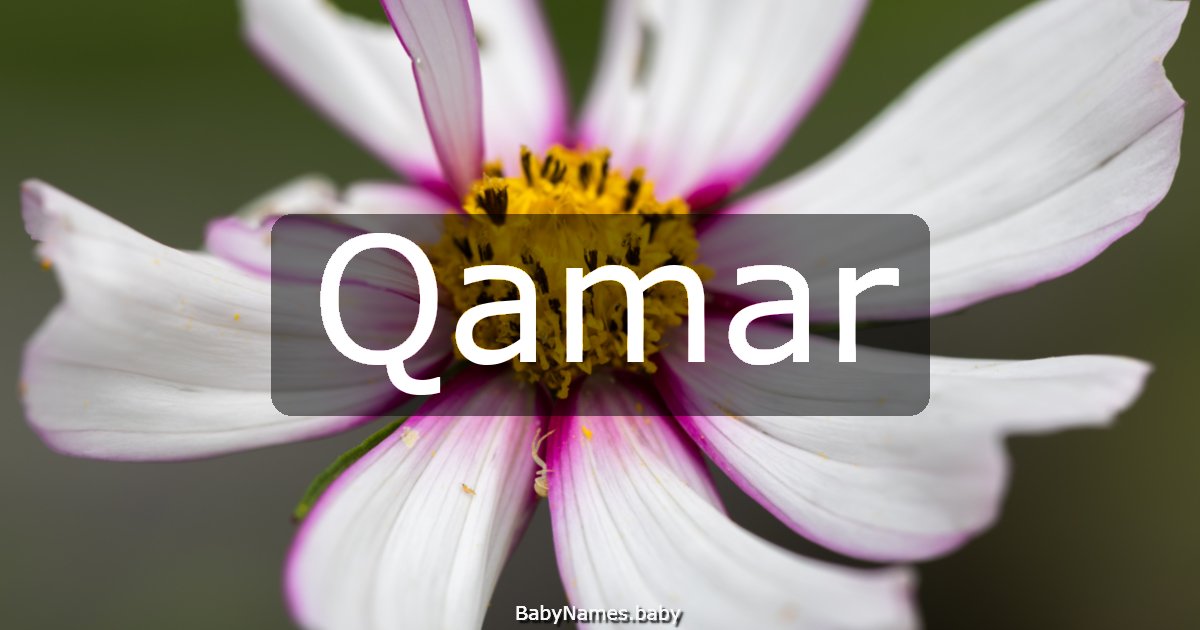 Qamar