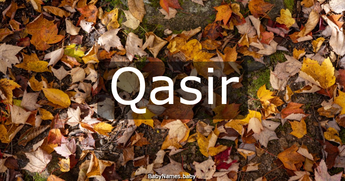 Qasir