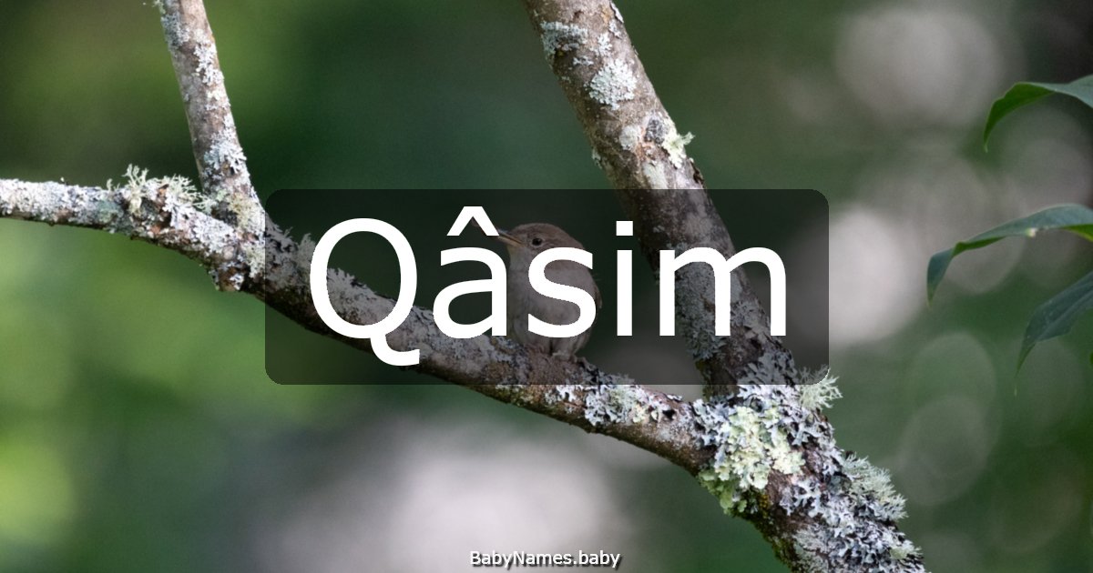 Qâsim
