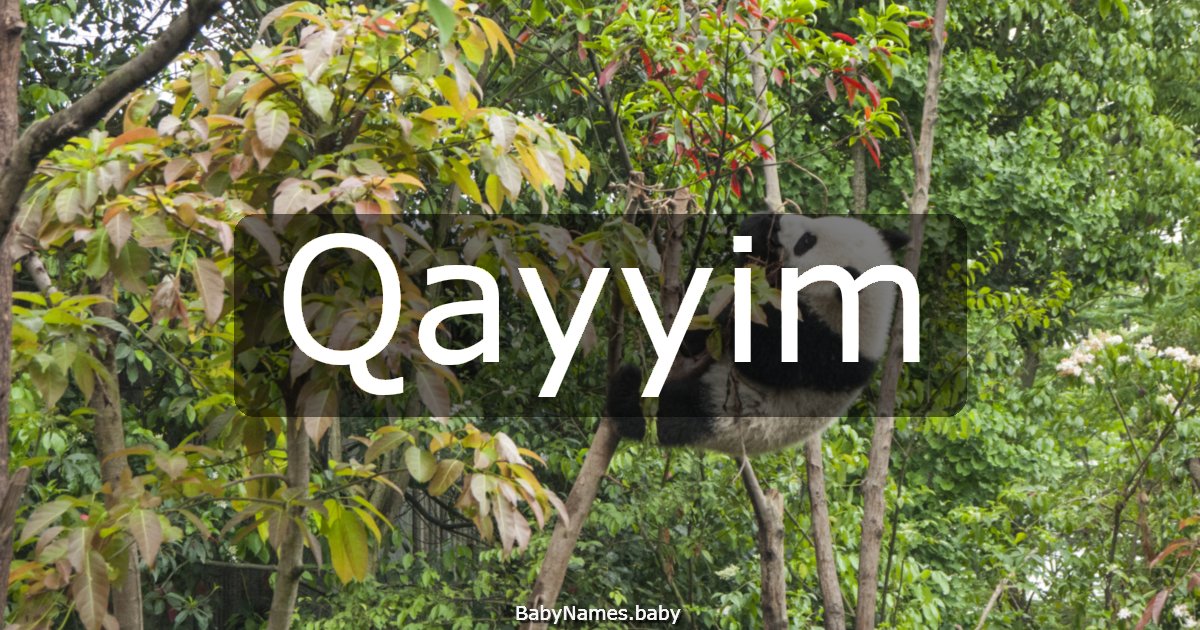 Qayyim