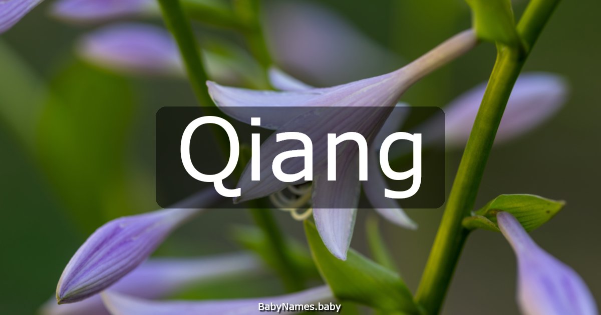 Qiang