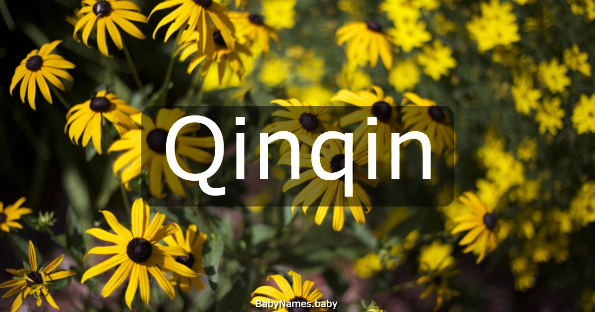 Qinqin