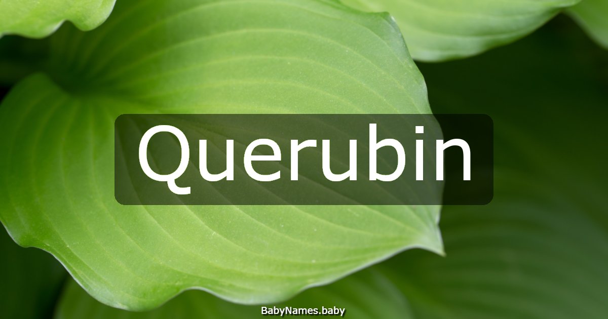 Querubin