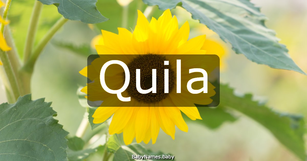 Quila