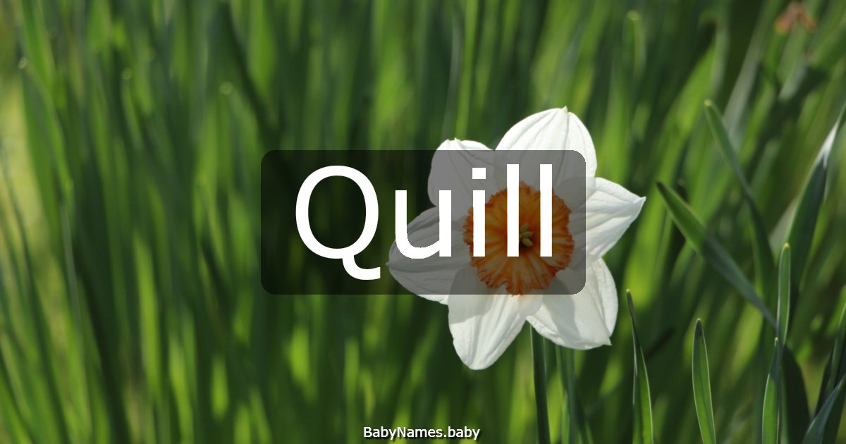 Quill