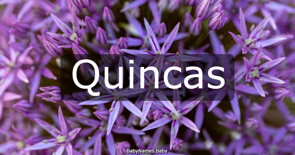 Quincas