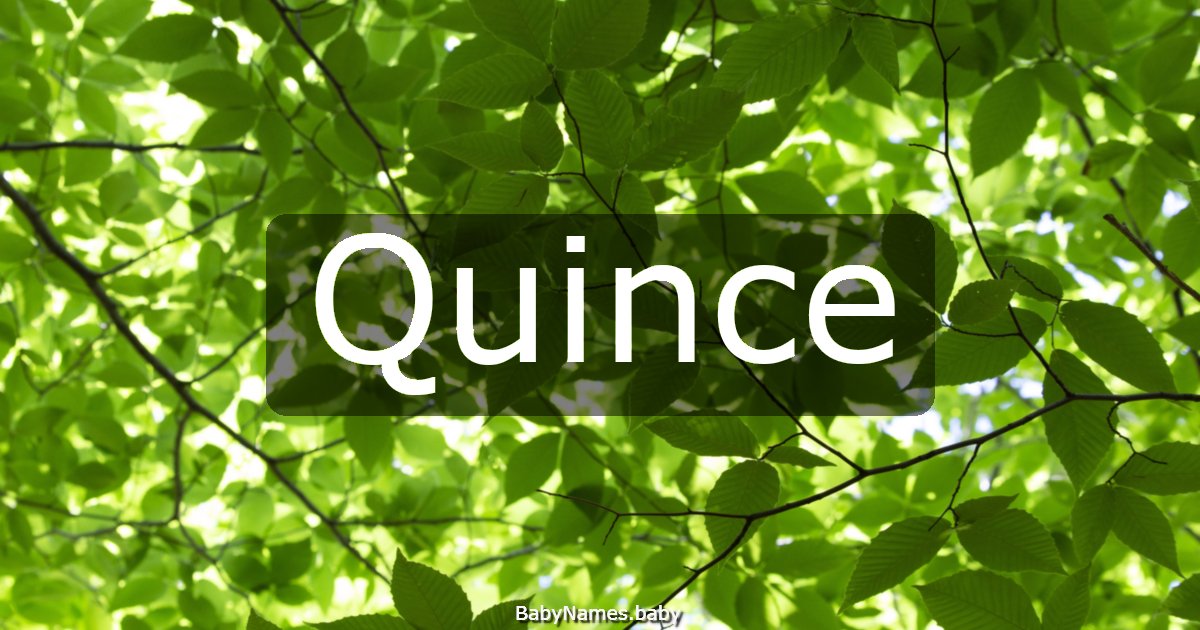 Quince