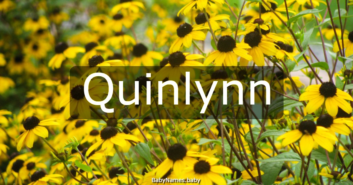 Quinlynn