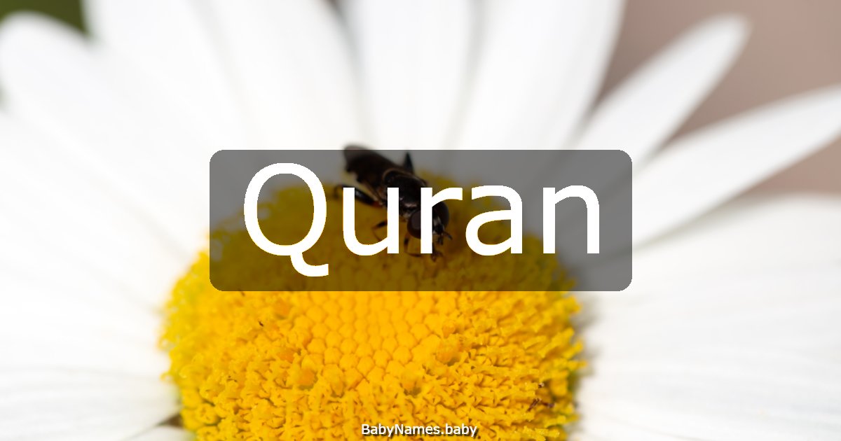 Quran