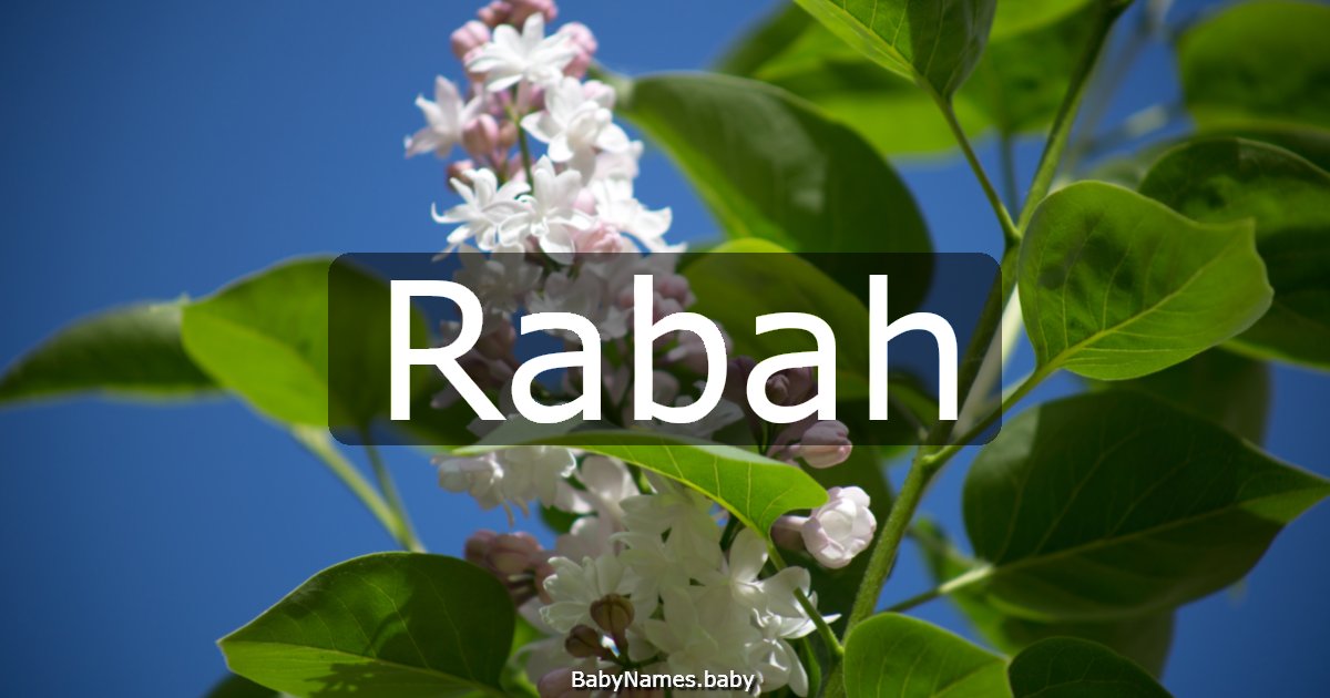 Rabah