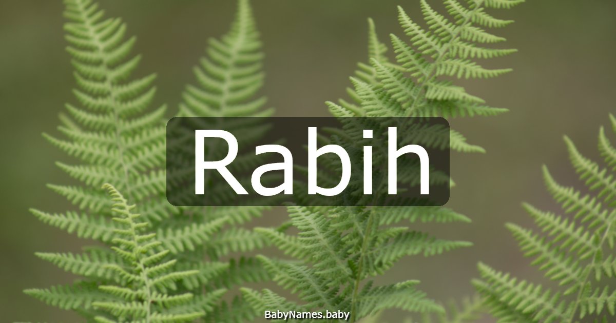 Rabih