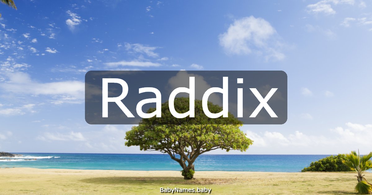 Raddix