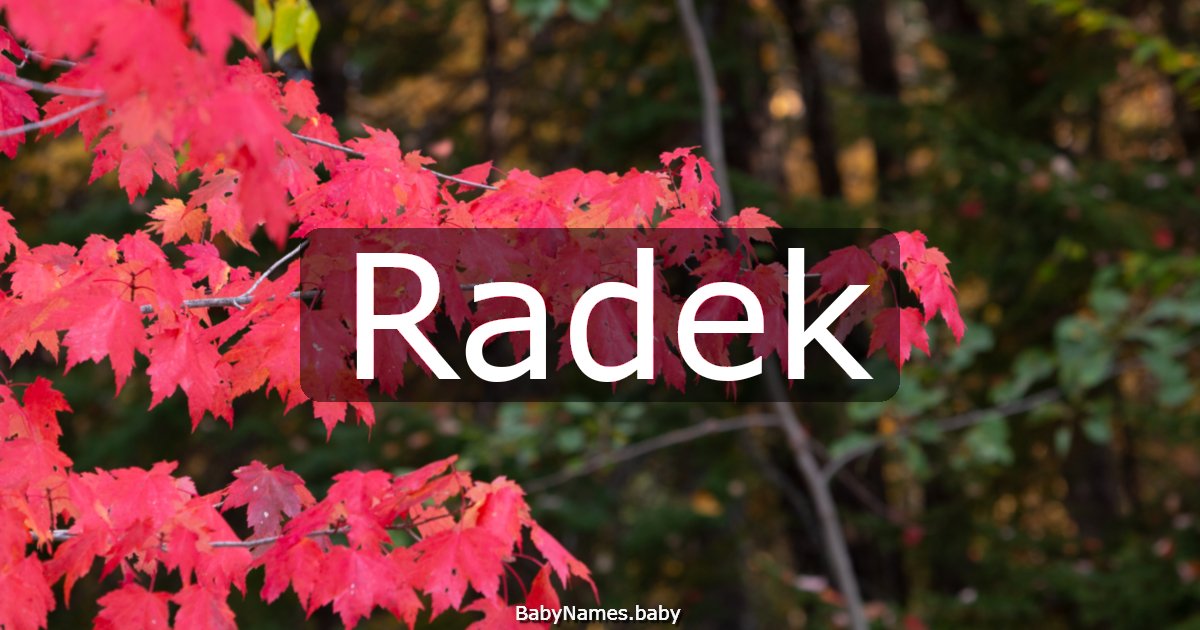 Radek