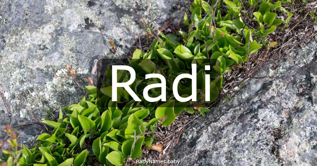 Radi