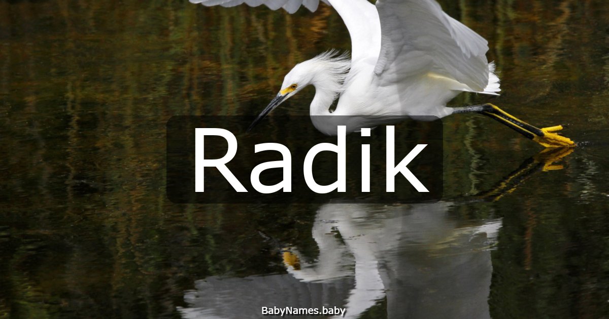 Radik