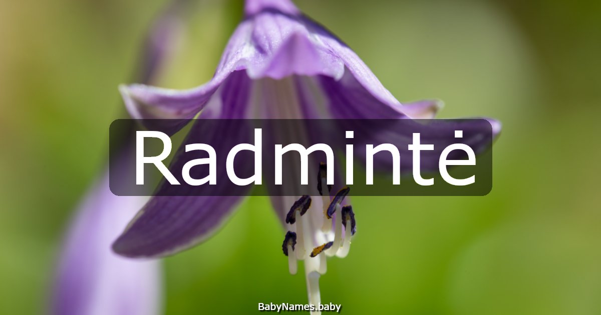 Radmintė