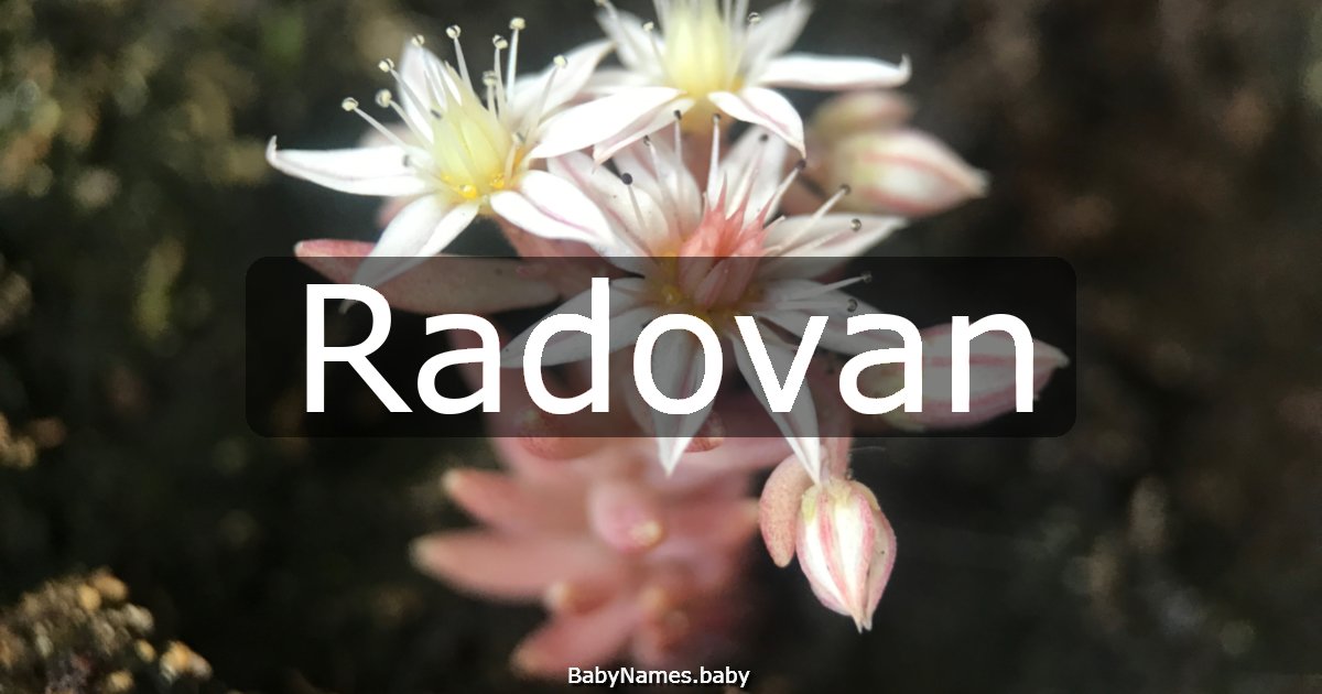 Radovan