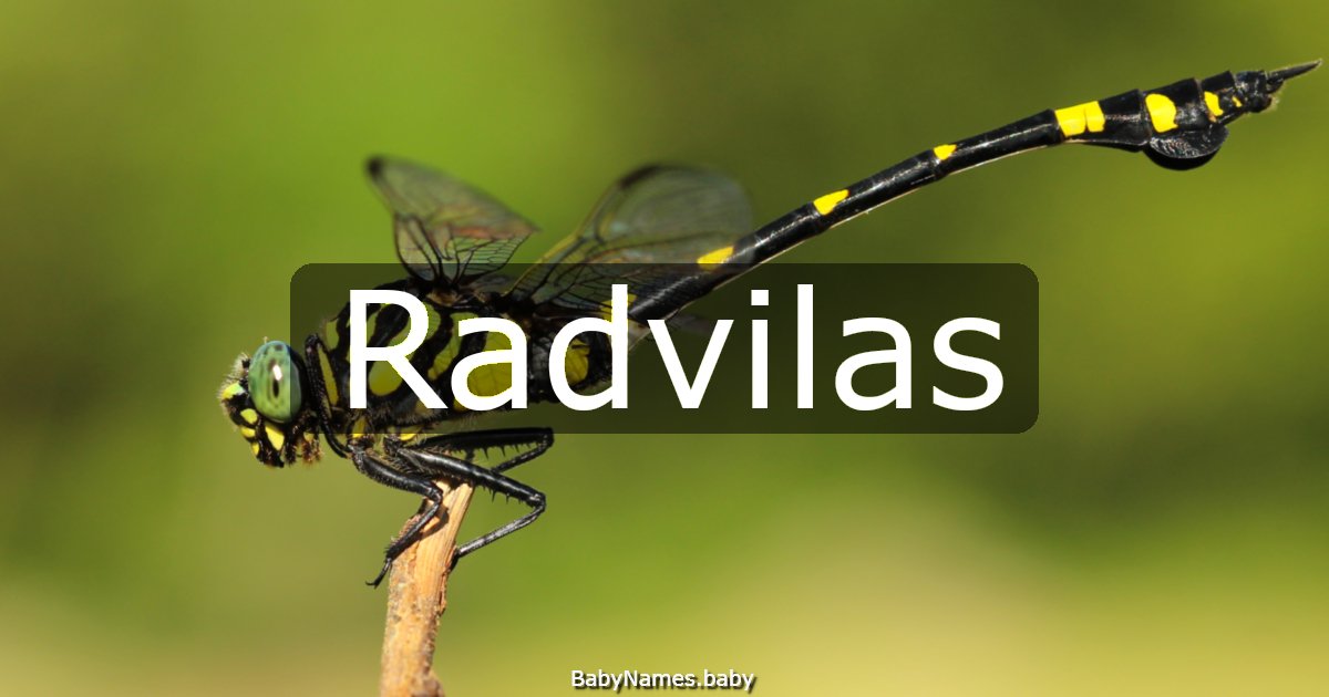 Radvilas
