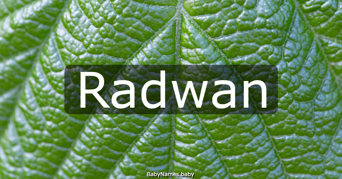 Radwan