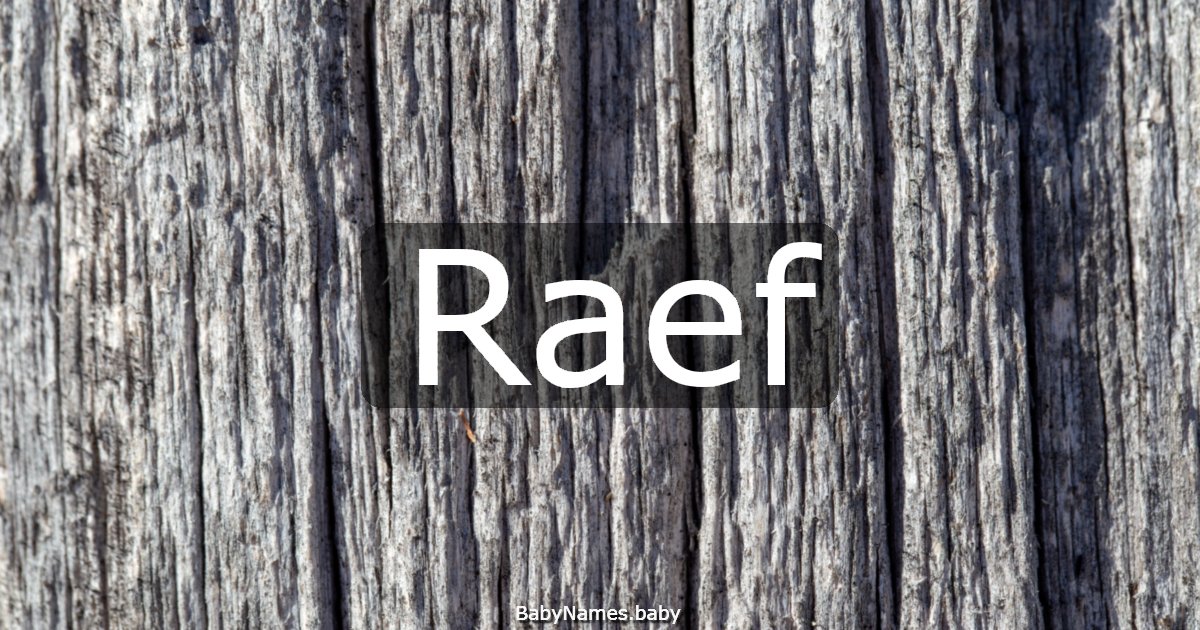 Raef