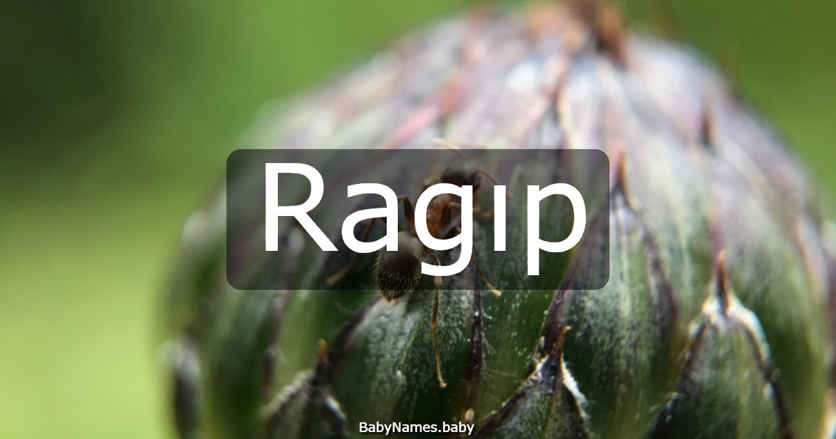 Ragıp