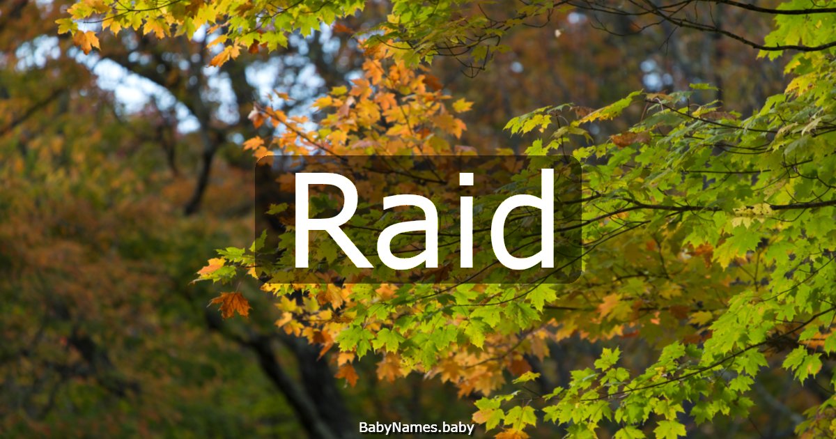 Raid