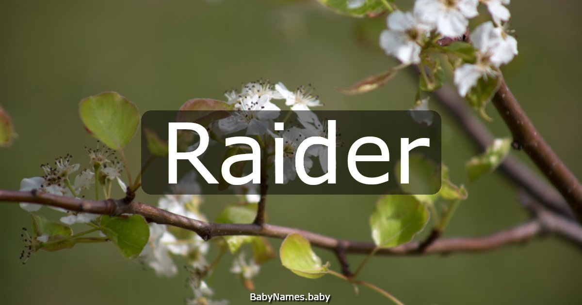 Raider