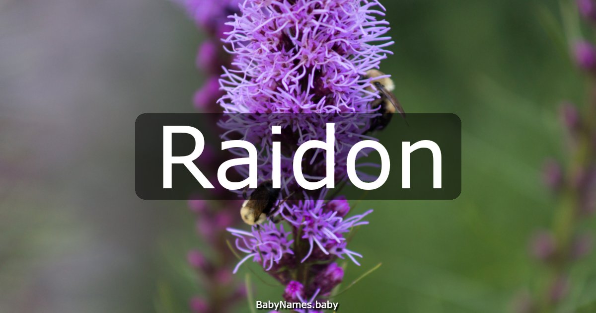 Raidon