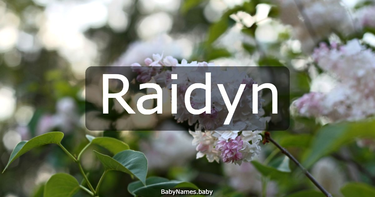 Raidyn